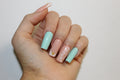 Minty Shores